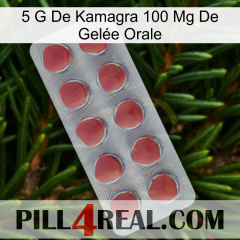 5 G De Kamagra 100 Mg De Gelée Orale 18